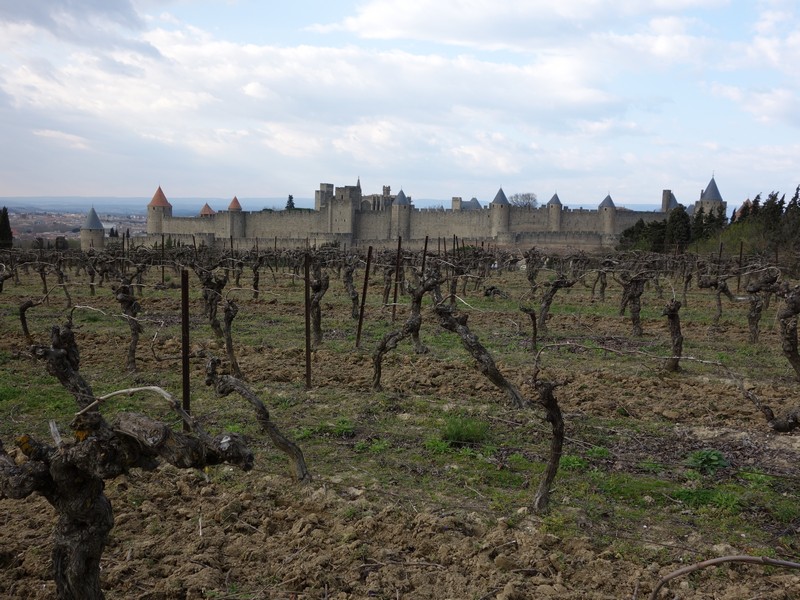 Festung von Carcassonne